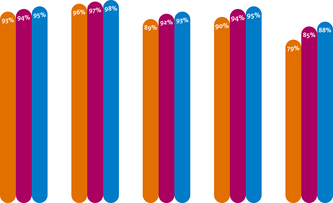 Cijfers in grafiek voor begin 2019, medio 2019, begin 2020.
DNSSEC: 93%, 94%, 95%
TLS: 96%, 97%, 98%
TLS NCSC: 89%, 92%, 93%
HTTPS: 90%, 94%, 95%
HSTS: 79%, 85%, 88%